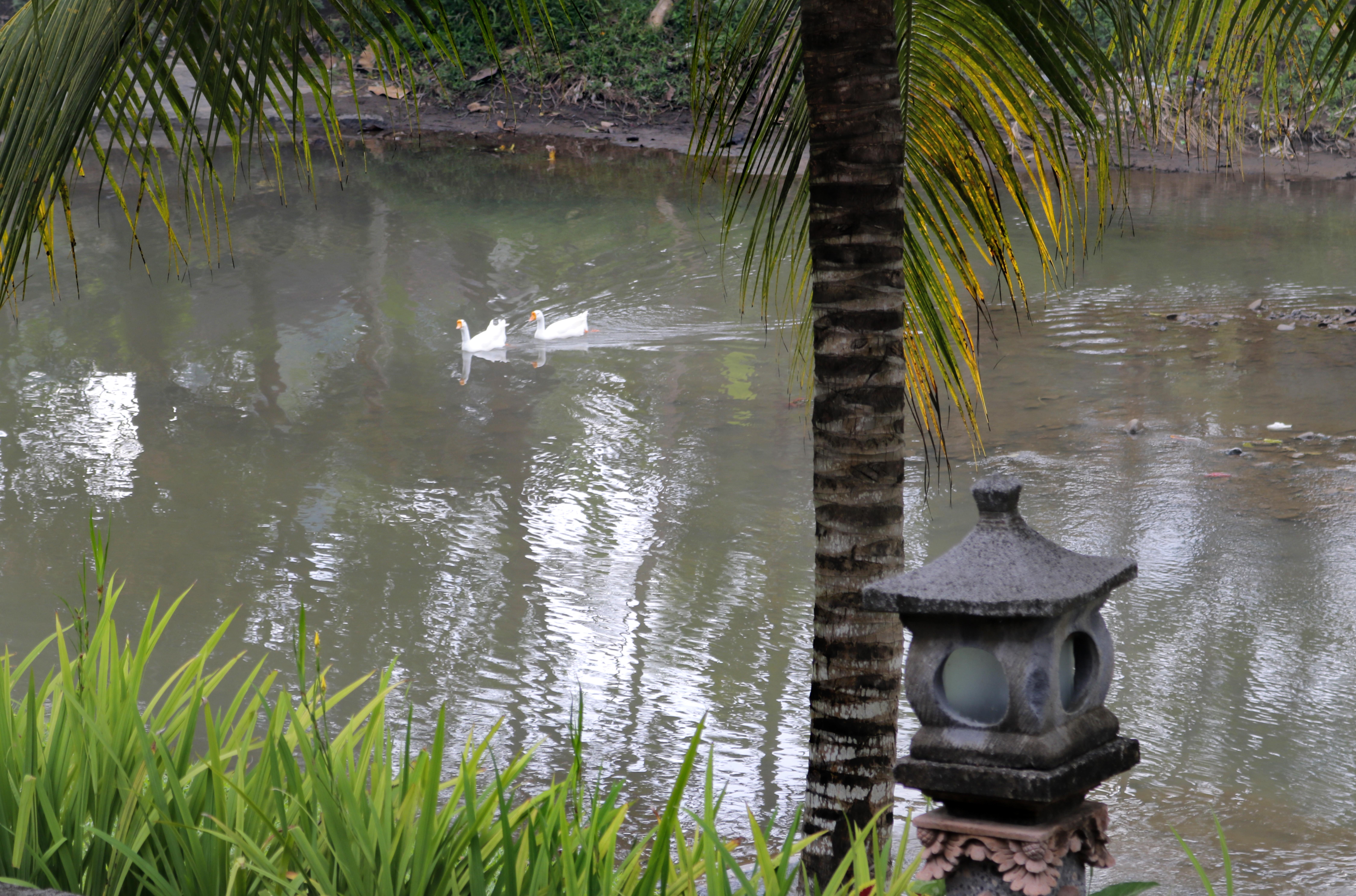 Santi Mandala Villa & Spa Sukawati Exteriér fotografie